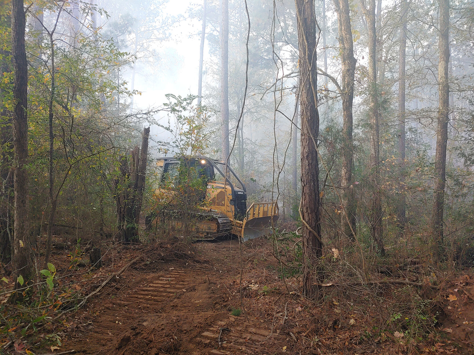 No One Hurt In Early Morning Forest Fire | News | Indexjournal.com