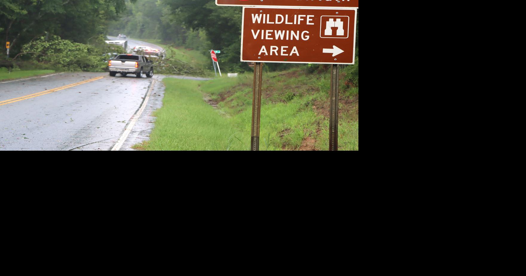 Storm downs trees, knocks out power | News | indexjournal.com