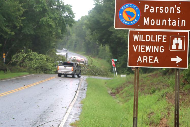 Storm downs trees, knocks out power | News | indexjournal.com