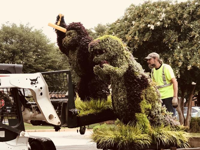 Moving Topiary Topiaries on the move | News | indexjournal.com