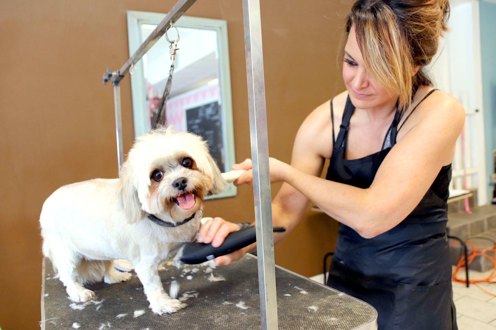 Here comes the groom Shaggy Chic owner says pet preening requires