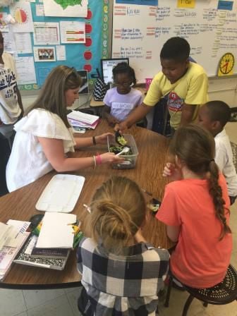 Five Laurens teachers attending science P.L.U.S. Institute over summer ...