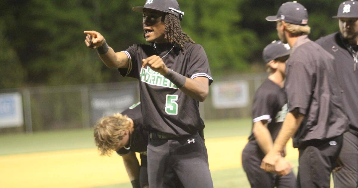 Spring sports playoff schedule release: Where Lakelands teams stand ...