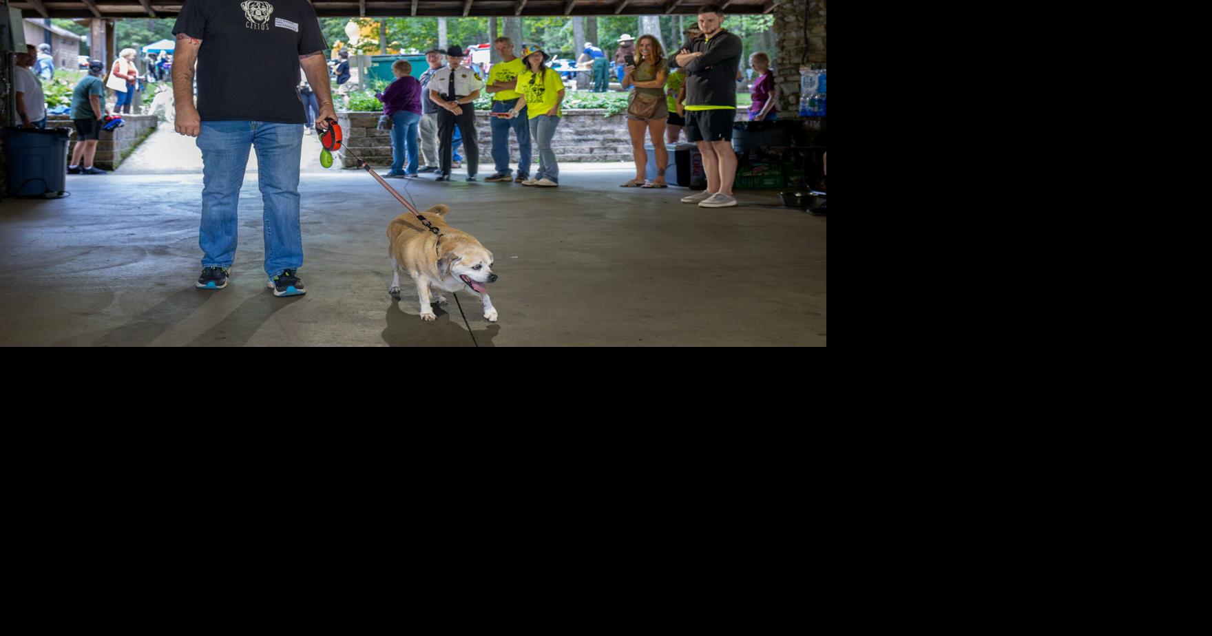 Chris Opdebeeck, Cletus compete in Indiana County Humane Society Cause for Paws ...