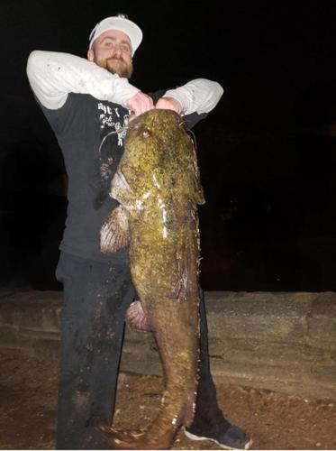 Angler lands state-record catfish, Sports