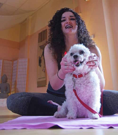 Sunflower Dog Yoga 245 Indianagazette Com