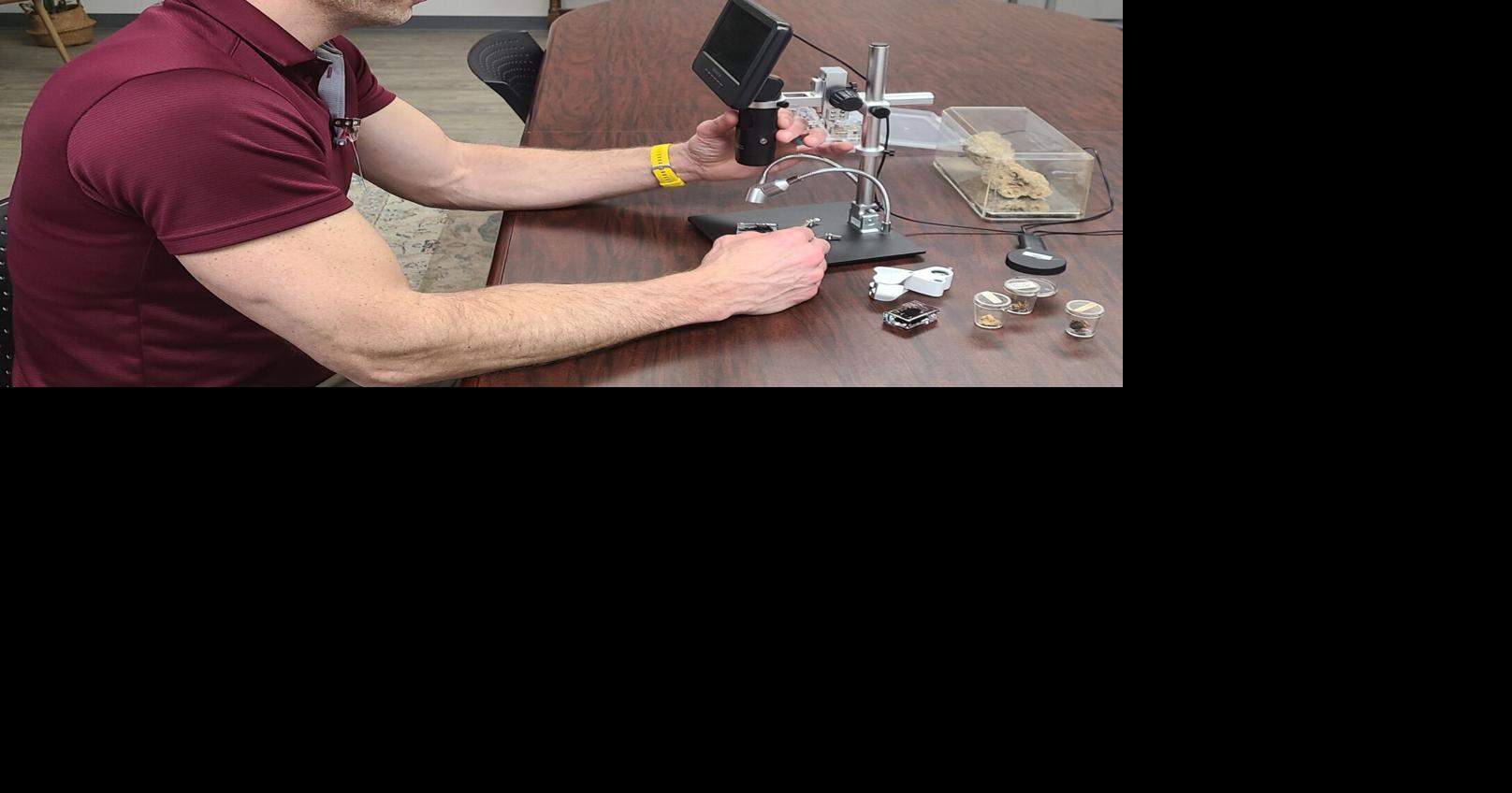 Indiana's only ACE: Rice leverages entomology expertise to enhance ...