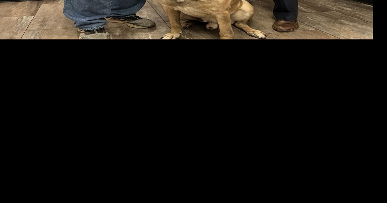 Homer City grants $12,000 back pay to police chief for care of K9 ...