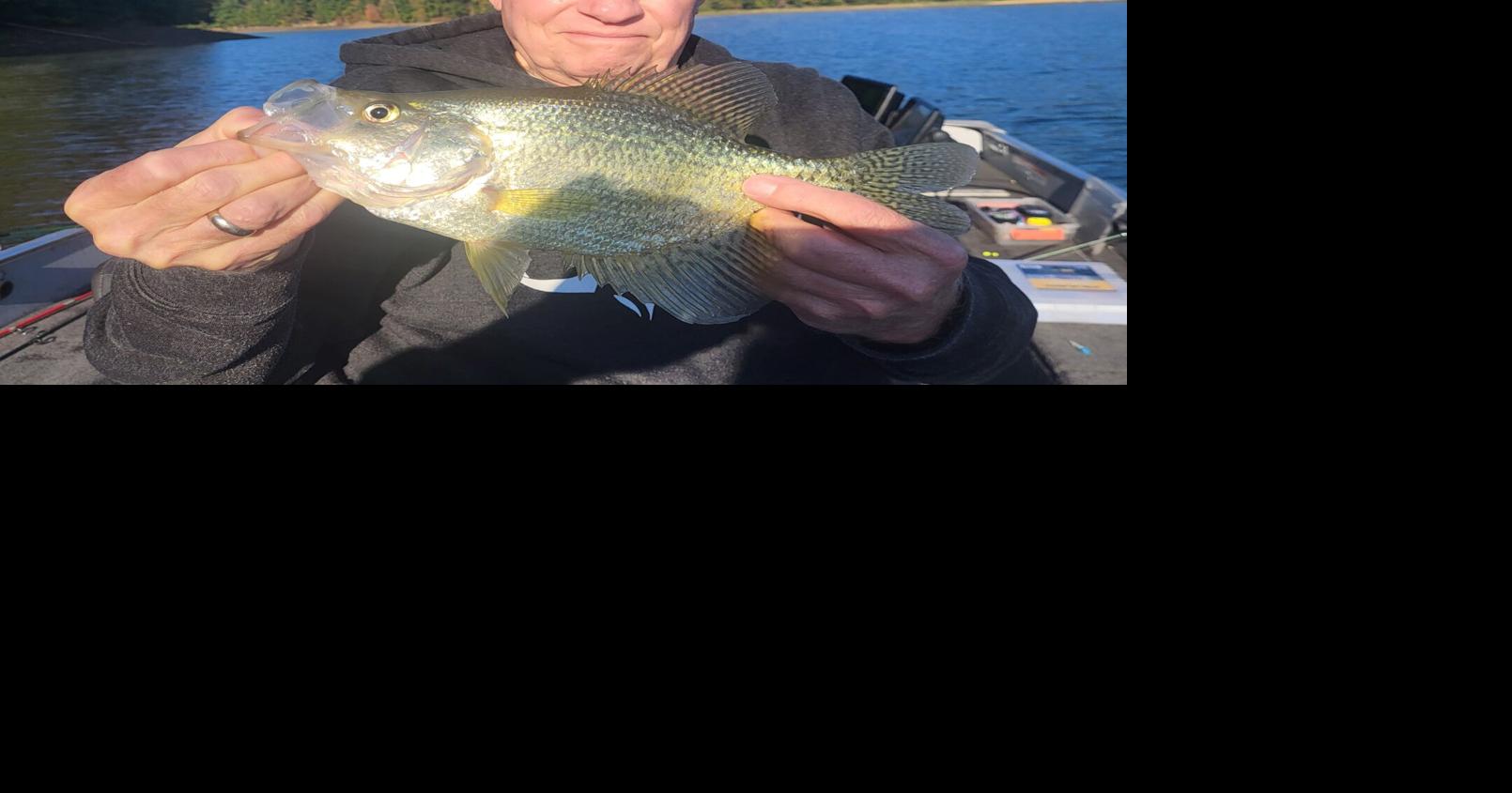 Fall Crappie locations: Finding fish as the season shifts