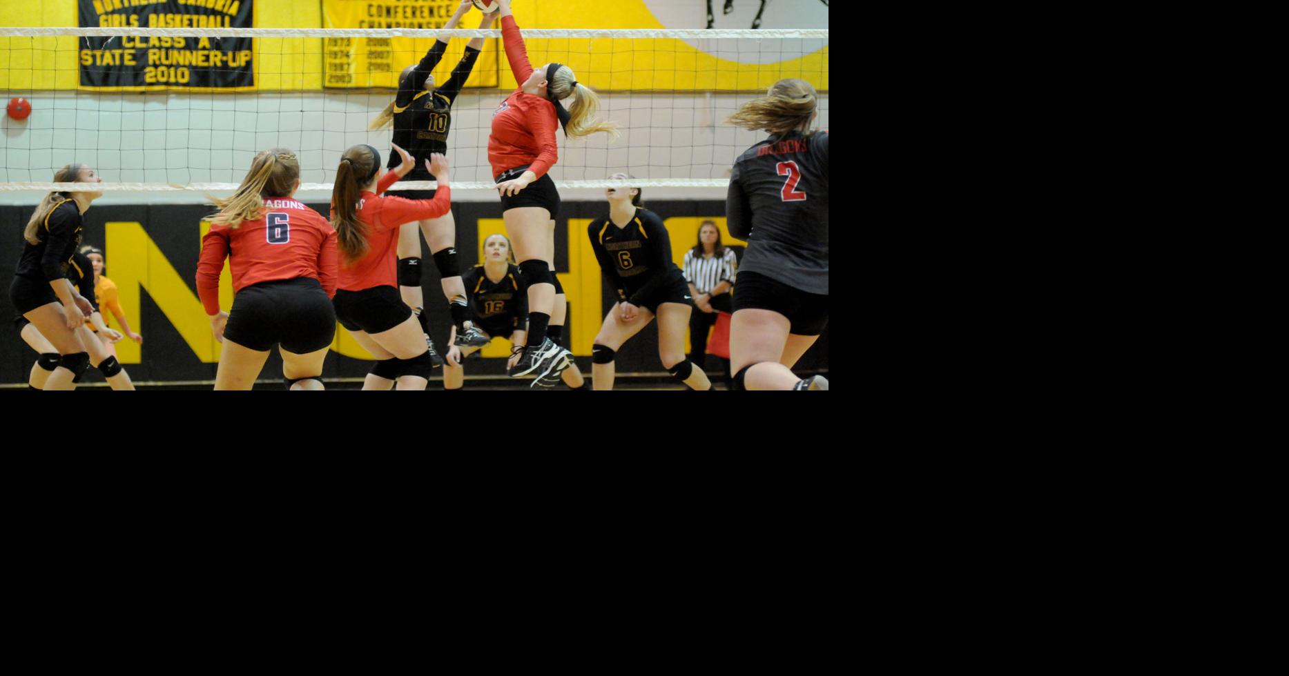 Northern Cambria VS Purchase Line Girls Volleyball Playoffs