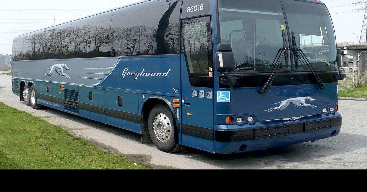 Greyhound offers vets job possibilities that could include Indiana