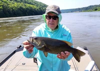 JEFF KNAPP: Spinnerbait strategy shines in stained river waters | Sports |  indianagazette.com
