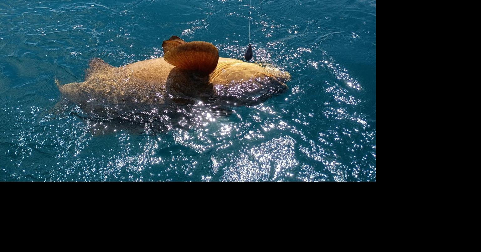 Creekside boy catches goliath grouper nearly twice his weight during summer break