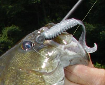 Grubs are more than just jigging lures, Indiana County Sports