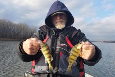 Up on the Perch: Outlook for species looks good on Pymatuning Lake