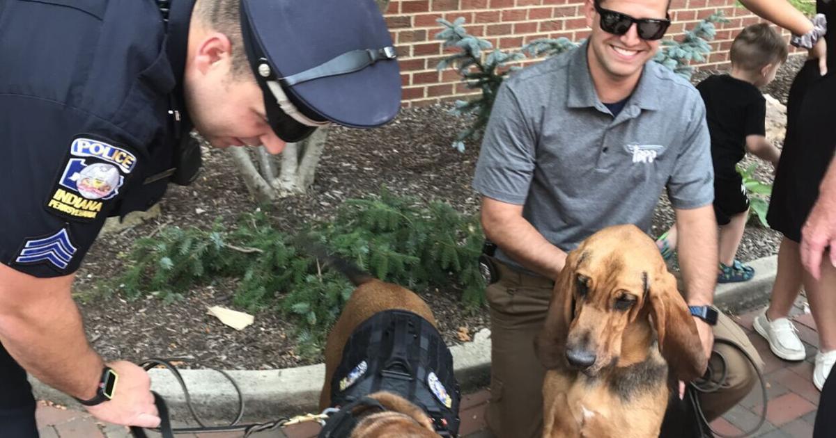 Indiana Borough Police prepares for 41st National Night Out to bring ...