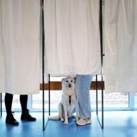 French elect mayors in key cities including Paris