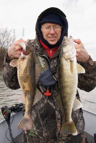 Sauger on rise in region rivers, Sports