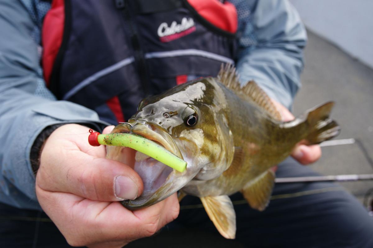 Bass fishing can become grind during post-spawn period