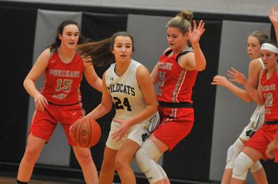 Girls Basketball Roundup Comets Rally Past Class 5a Tigers Sports Indianagazette Com