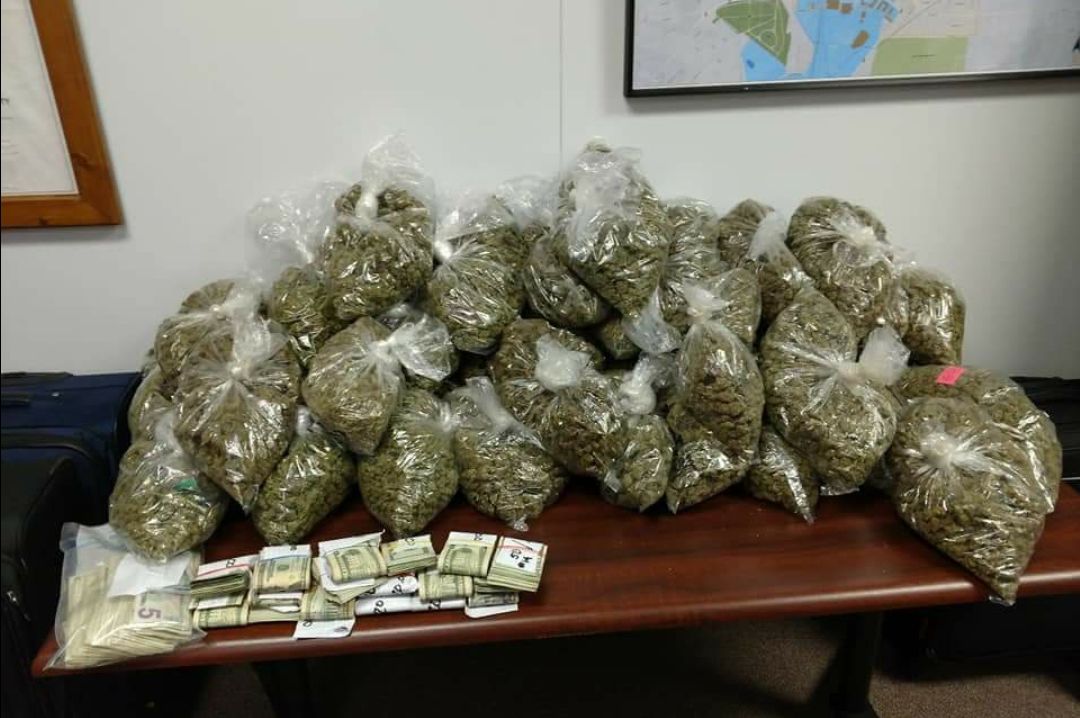 58 pounds of marijuana seized by police in separate arrests | News