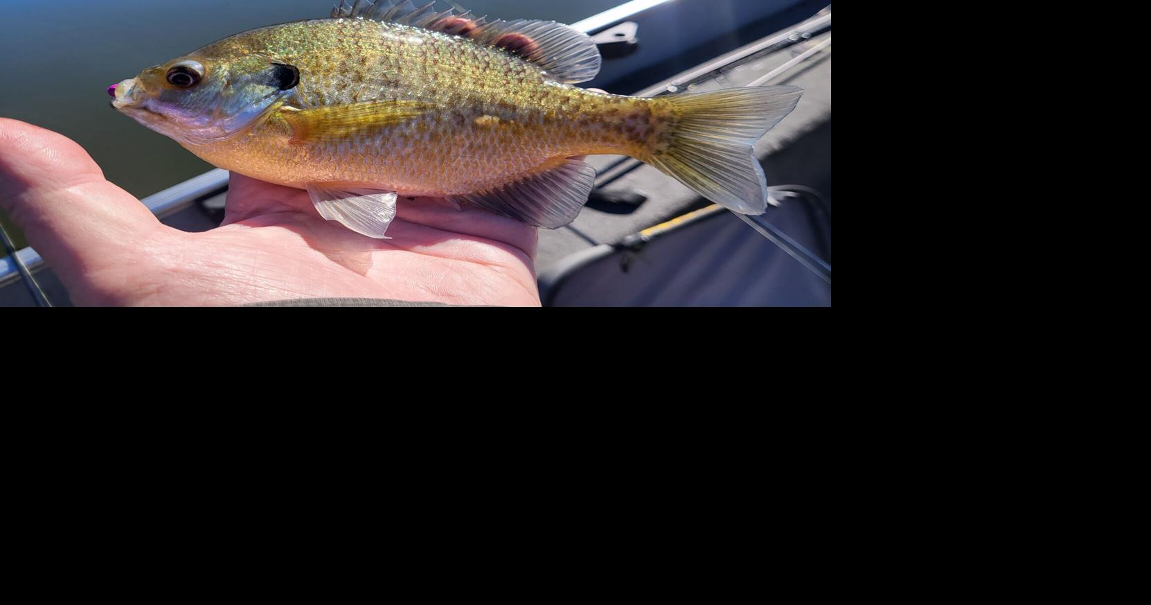 Keystone Lake is one of best places to fish in our local area | Sports ...