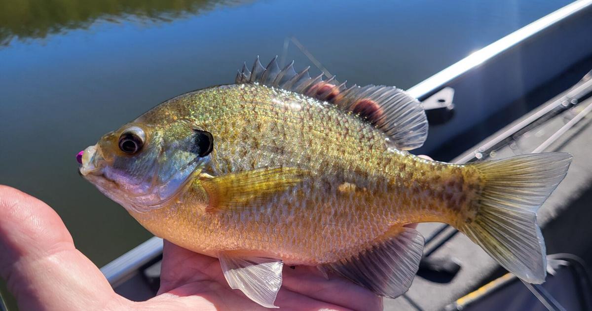 Keystone Light Letters Keystone Lake is one of best places to fish in our local area | Sports ...