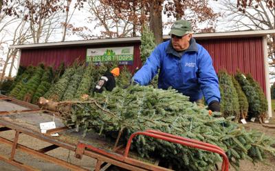 Pennsylvania Farmers Use Sweat Science To Craft Perfect Tree News Indianagazette Com