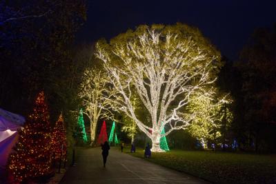 Holiday Happenings Trees Lights Magic On Display Around U S Leisure Indianagazette Com