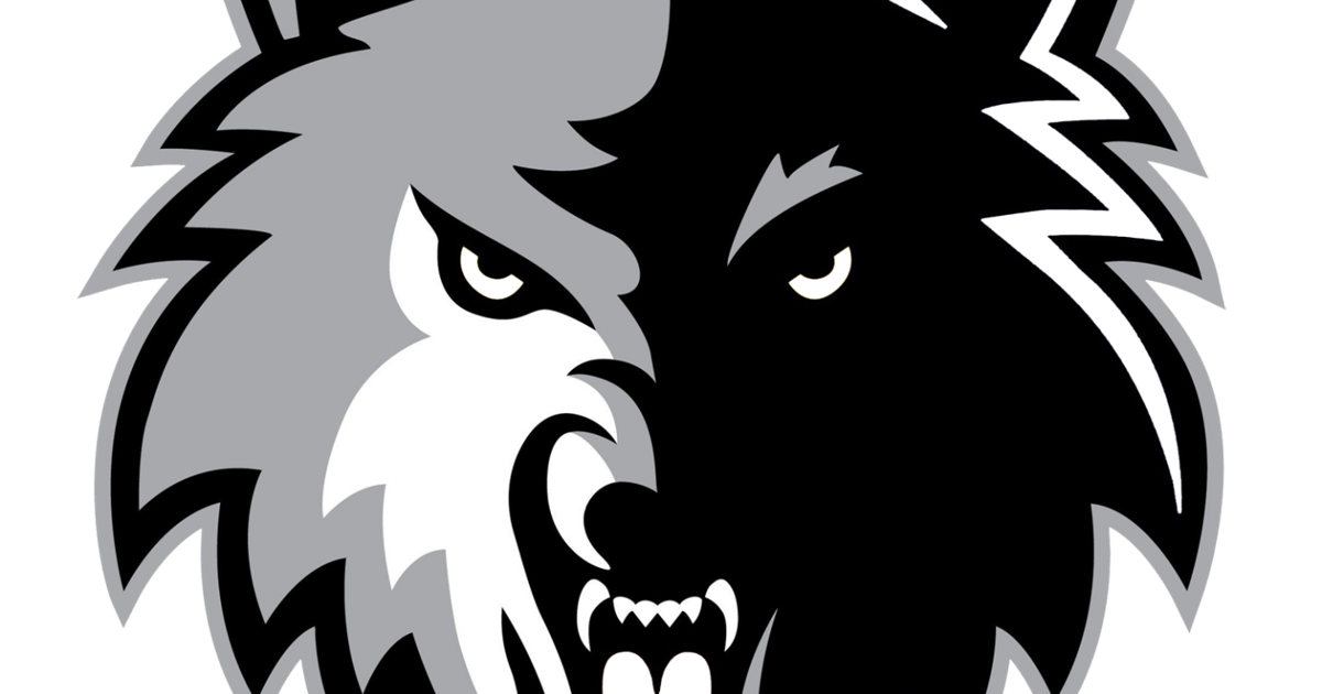 Wolves' Bradyn Rodgers sets school record, stuns Lions with game-winner ...