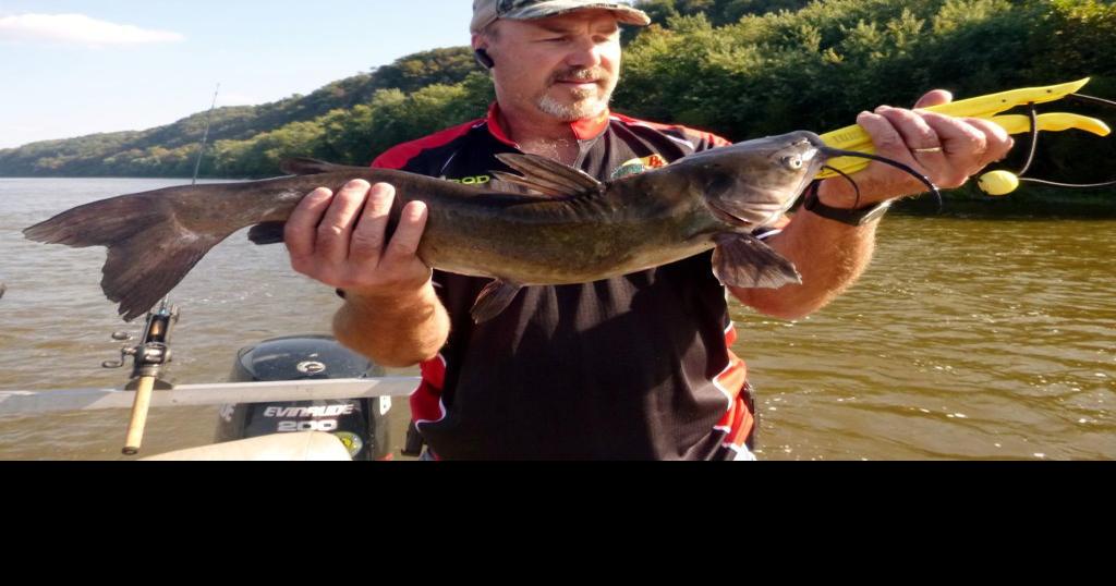 Mahoning Creek Lake offers diverse fishery Sports