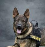 Kort memorial scheduled at Indiana County Court House Local News