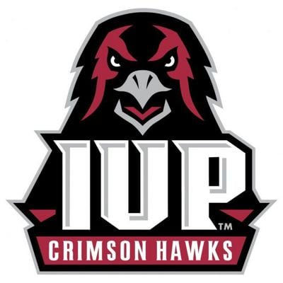 Image result for iup logo