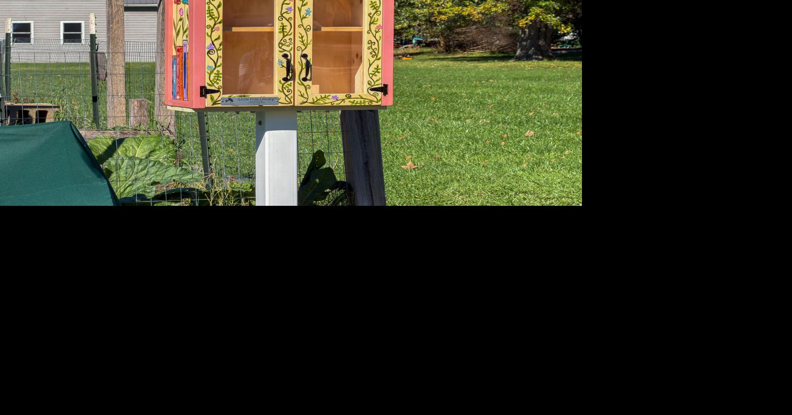 Homer City pays tribute to 'professional volunteer' Judy Palaski with 'book garden,' park bench