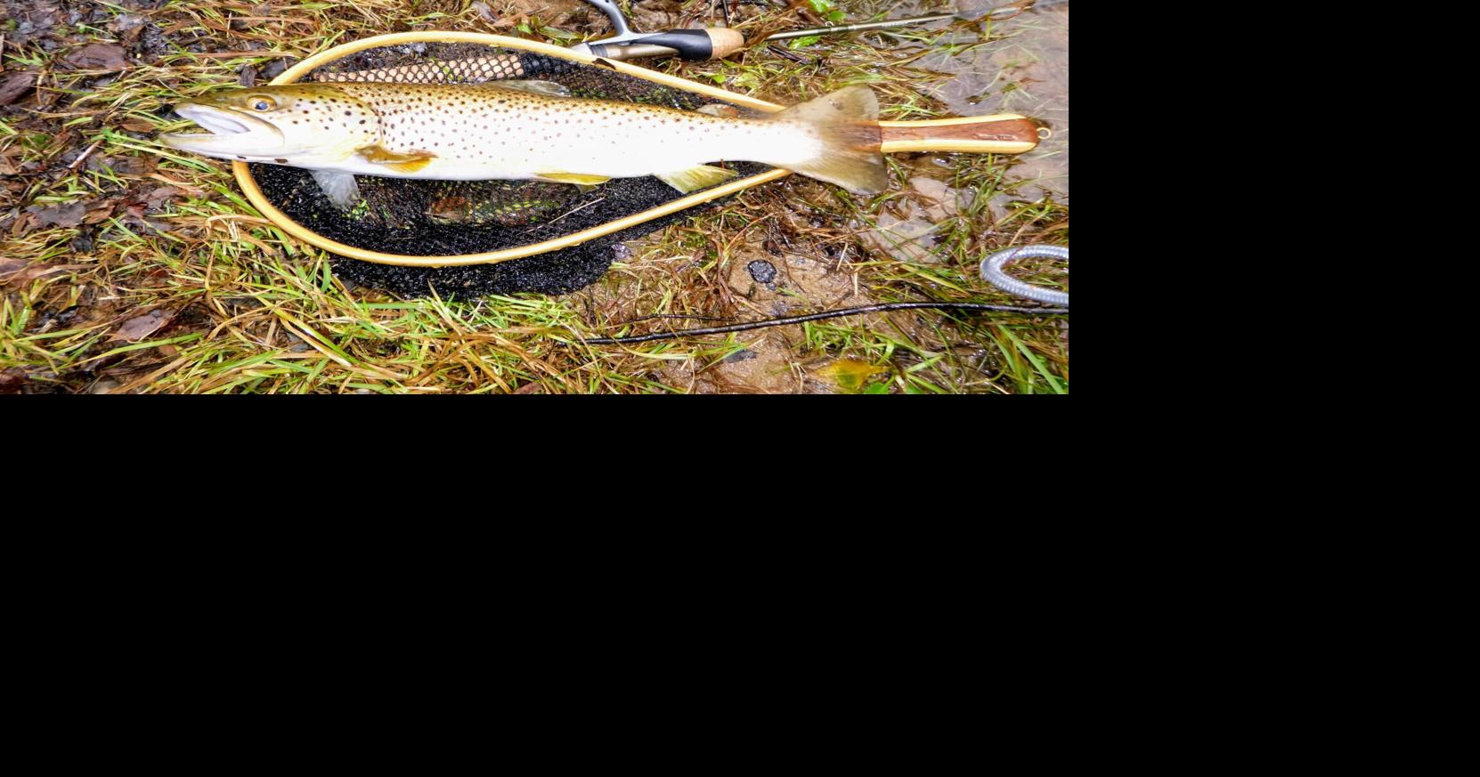 Spinners, spoons attract winter trout Indiana County Sports