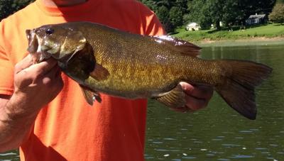 Jeff Knapp Raystown Lake Has It All Covered Sports Indianagazette Com