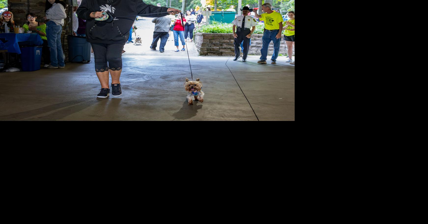 Dawn Huber, Jax compete in Indiana County Humane Society Cause for Paws pet cont...