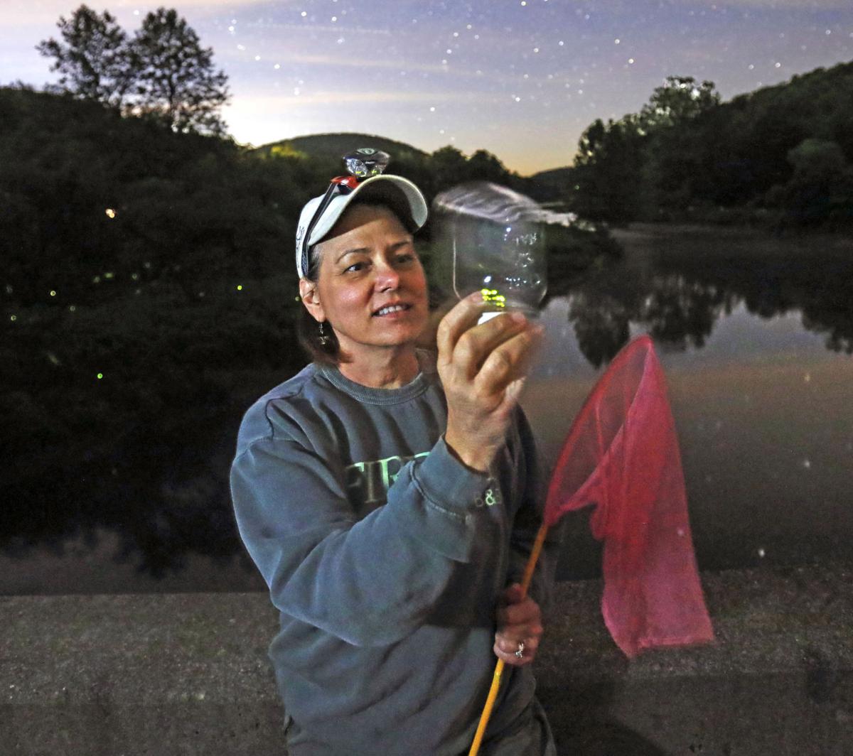 Word from the Smokies: A firefly season recap from the experts