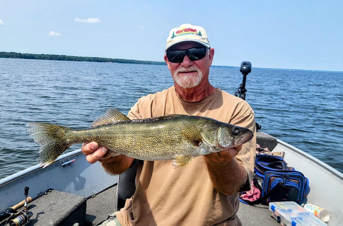 down south fishing lures - Southern Shad 4.5