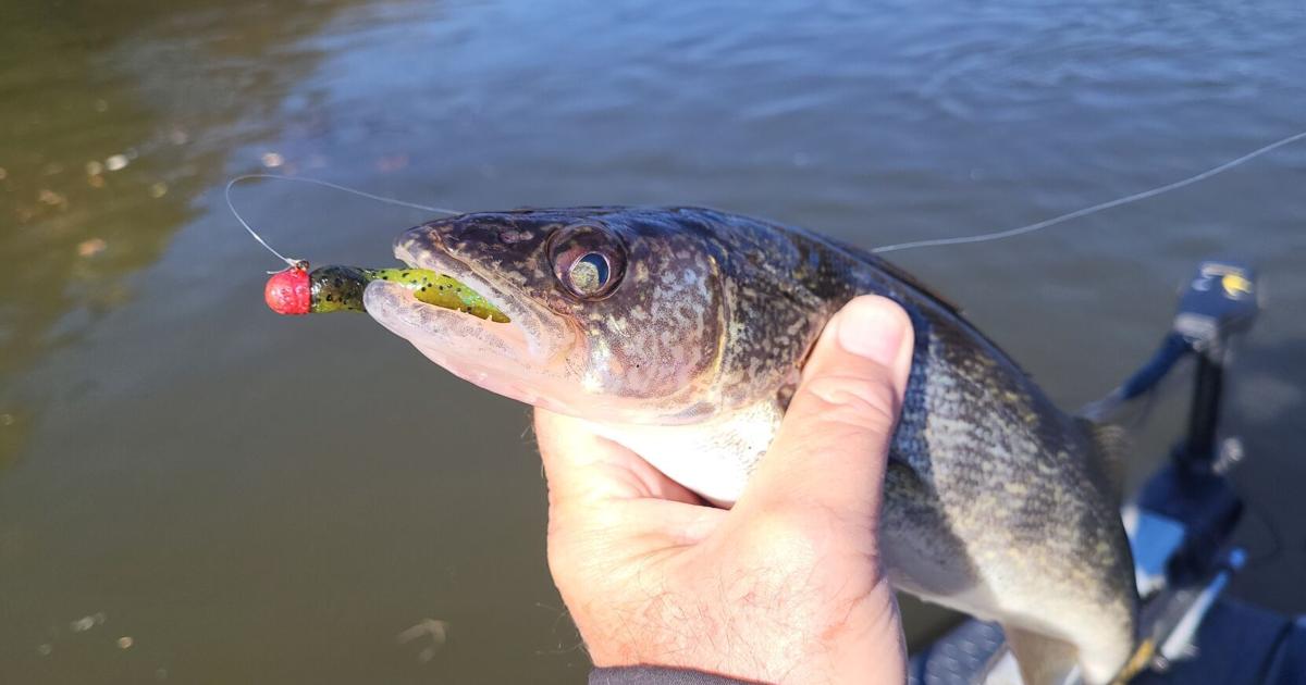 Walleye fishing gets hotter in the winter months  Indiana County Sports