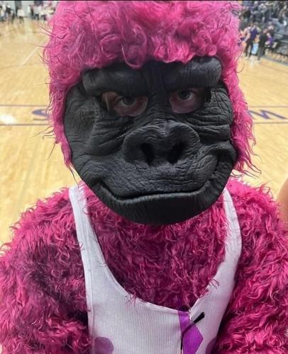 The Grape Ape returns to IHS to make the hometown crowd go wild | News ...