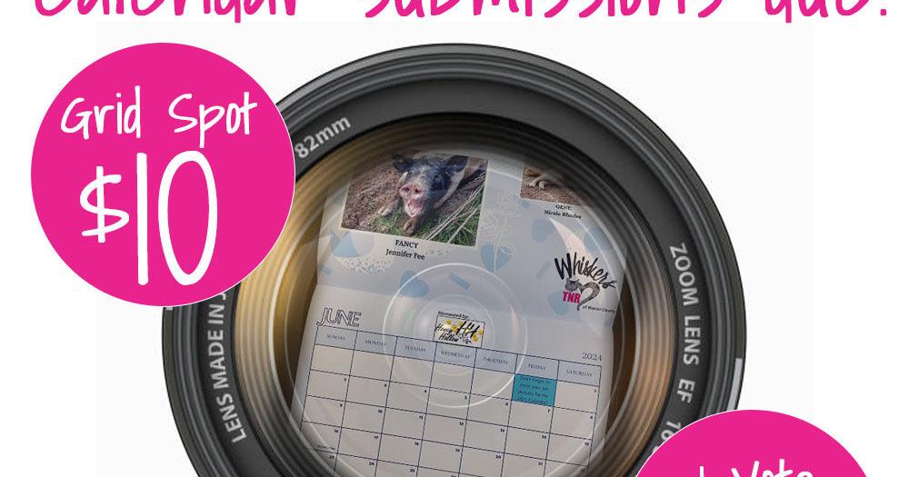 Community invited to enter pets in Whiskers TNR calendar contest News