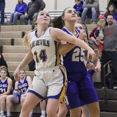 MartensdaleSt. Marys girls hoop it up Sports