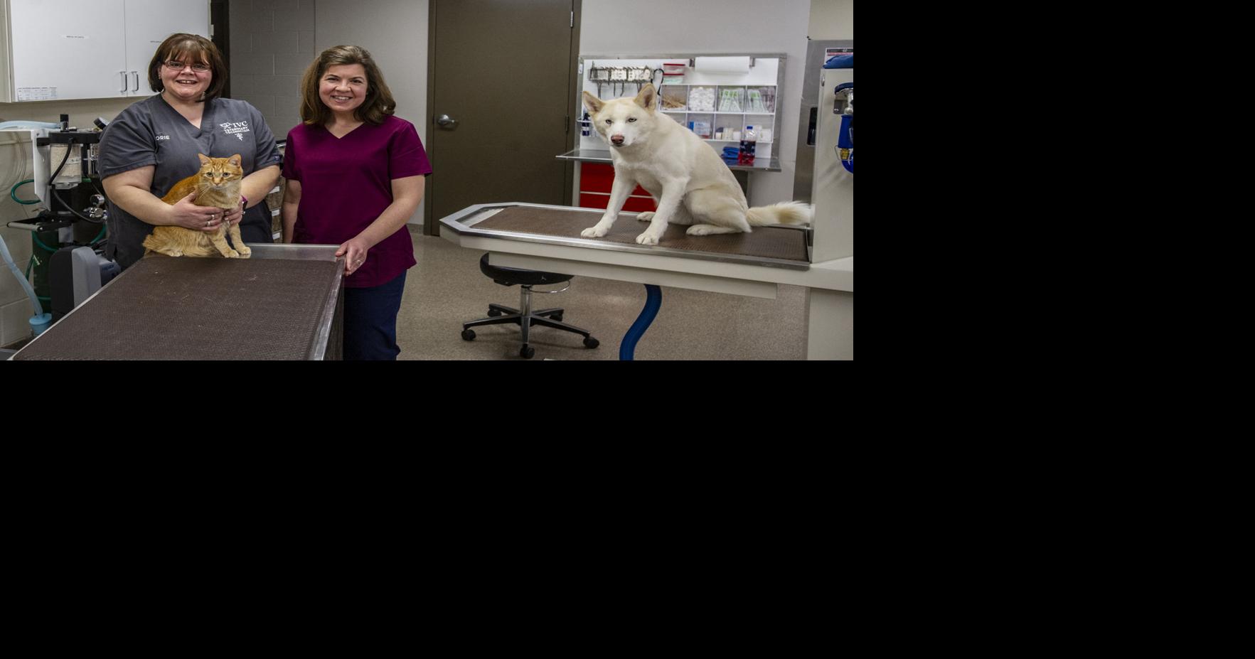 Vet techs tend to Indianola's furry friends News