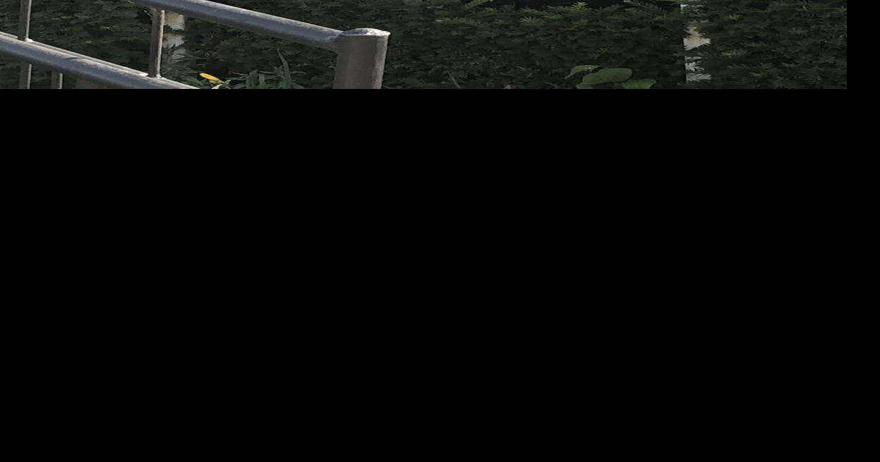 Wildcat ABC childcare to double capacity with 3.2 million expansion