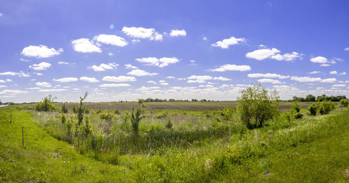 Warren County moves forward with possible land purchase