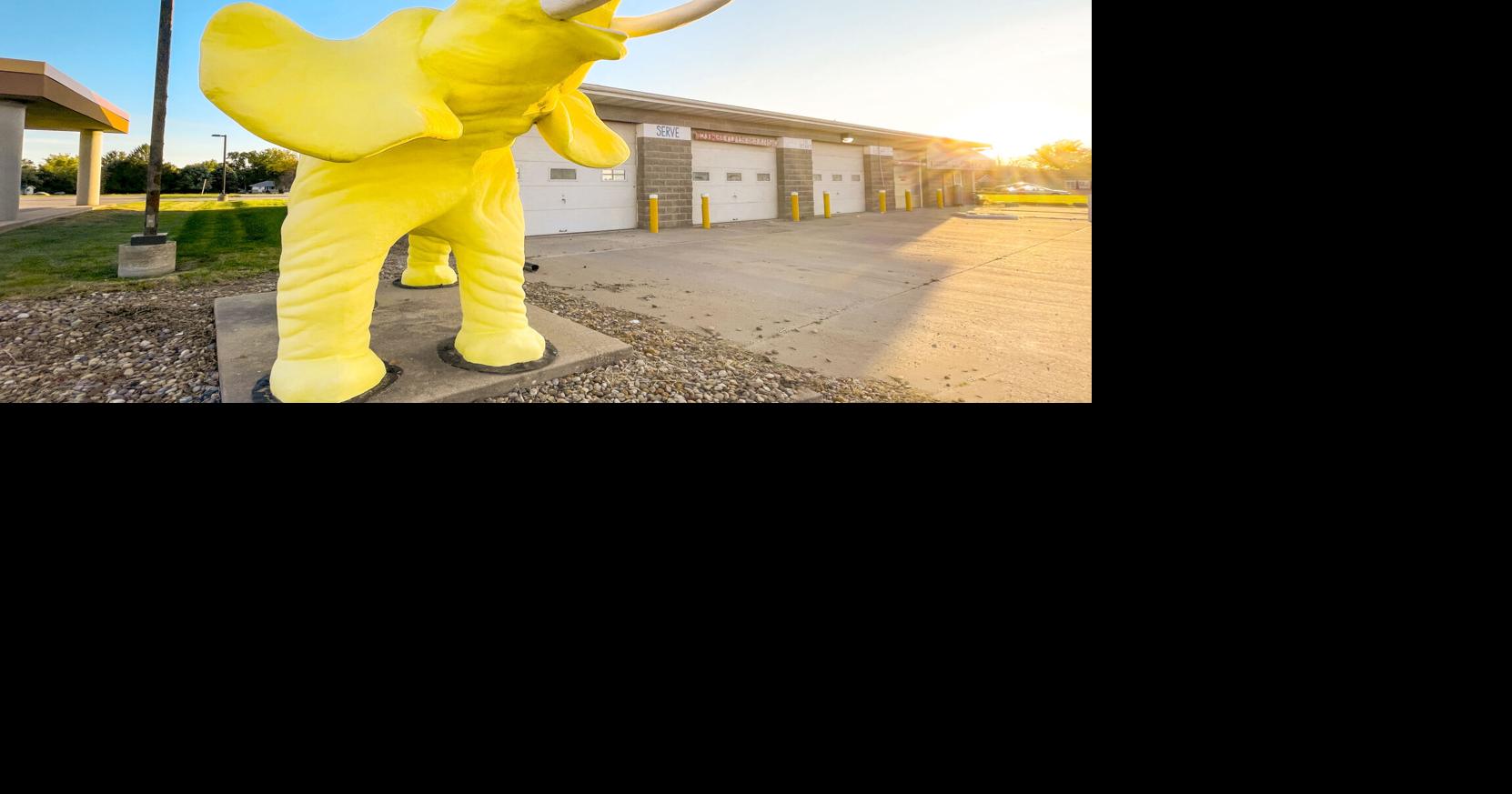 NO. 8 — Indianola's elephant ready to make a move News