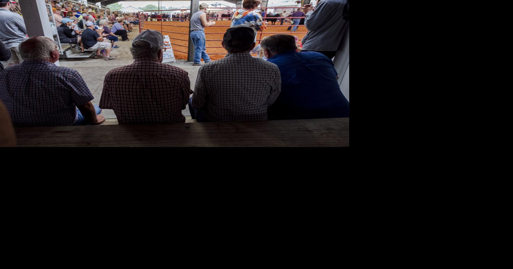 Warren County Fair wraps up with record turnout and ‘volunteering ...