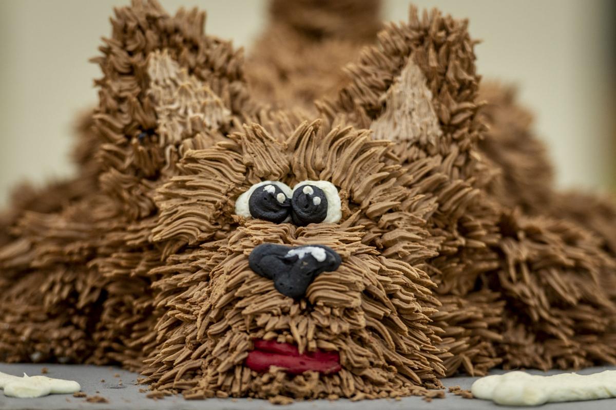 Let Them Make Cake Multimedia Indianola Ia Com