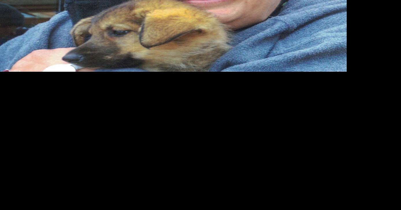 Vicki May King, Knoxville | Obituaries | indianola-ia.com